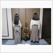 クリスマス準備 2022