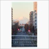 今日の富士山