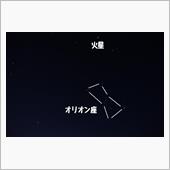 流れ星は期待せず