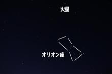 流れ星は期待せず