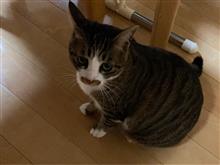 連勤の〆は夜勤(-д-  )ﾀﾞﾙｯ