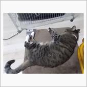 今日は映画だよ。