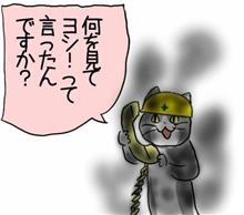 初爆完了! 初爆完了!