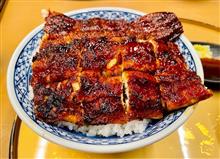 美味しい鰻を食べたよ
