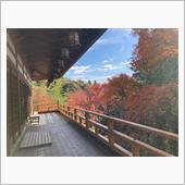 清水山ハイキングコース（藤枝 ...