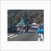 法律がどうとかという以前の問 ...