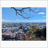 本日は