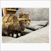 おつかれさま