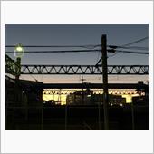 果たして効果の程は・・・