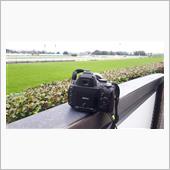 4年ぶりに中山競馬場🐴へ