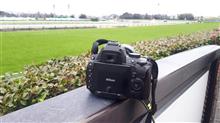 4年ぶりに中山競馬場🐴へ