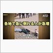 あ・れ・は・3年前～♪