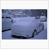 遂に本格的な雪