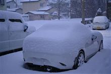 遂に本格的な雪