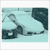 新潟は雪です