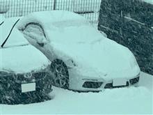 新潟は雪です