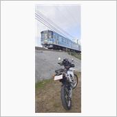 反対側からだった😮‍💨