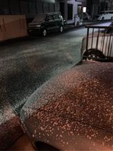 うっすら真っ白