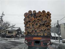 メッチャ重そう！雪道大丈夫か?木材運搬のトレーラー。