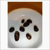 ＜趣味＞久しぶりに･･･キレ ...
