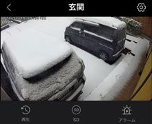雪が降り続く