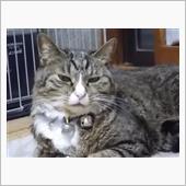 今日も動きました。