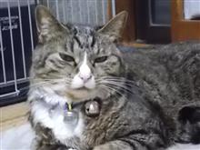 今日も動きました。