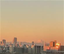 東京44日目