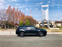 定期便愛車ランキング21連覇達成の御礼🙇‍♂️