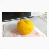 冬至🍊