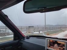 今日も雪です。