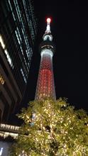 東京アラート