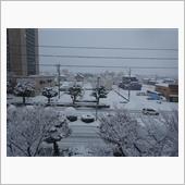 雪