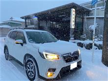 雪の朝、新聞を買いに行くと