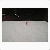 ８年ぶりだって？