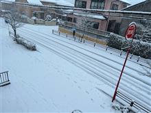 12月の雪 12月の雪