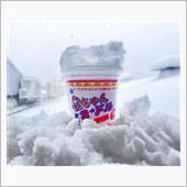 12月23日 雪降って積もった