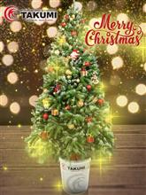 ✨🎄Merry Christmas🎄✨