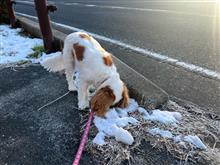雪は溶けていく 雪は溶けていく