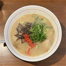 ドンチ ドンチ