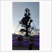 クリスマスな週末は・・・