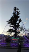 クリスマスな週末は・・・ クリスマスな週末は・・・