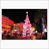 ☆Merry Christm ...