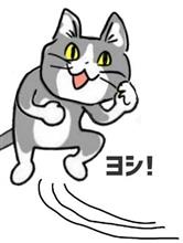 始動確認