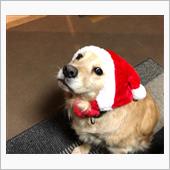 Merry Xmas🎅