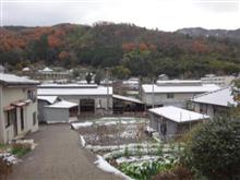 寒波が半端ねぇな！　(((( ;ﾟДﾟ)))ｶﾞｸｶﾞｸﾌﾞﾙﾌﾞﾙ