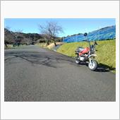 ポッケで田舎道