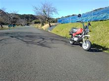 ポッケで田舎道