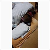 分身熊は1日中冬眠中････