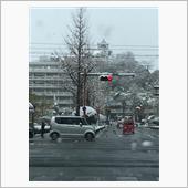 まさかの雪の高知